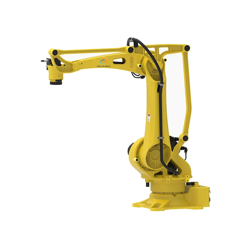 CHUANGDONG palletizing robot for application selection